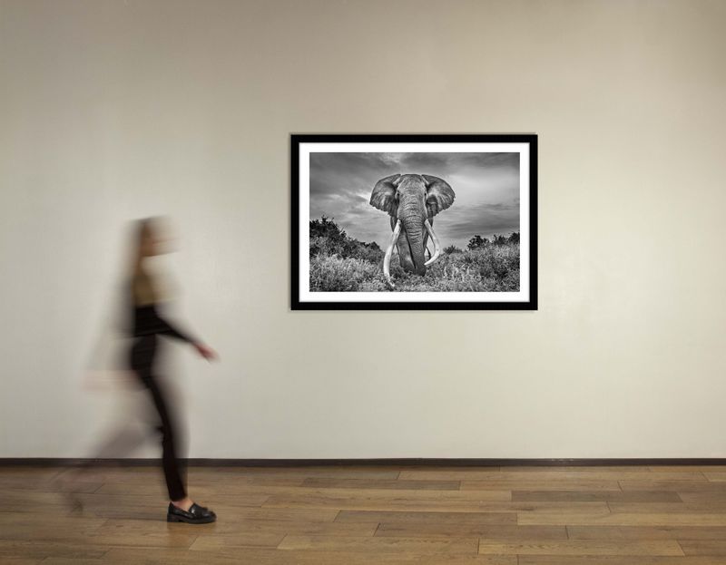 36 x 48 in., edition of 15